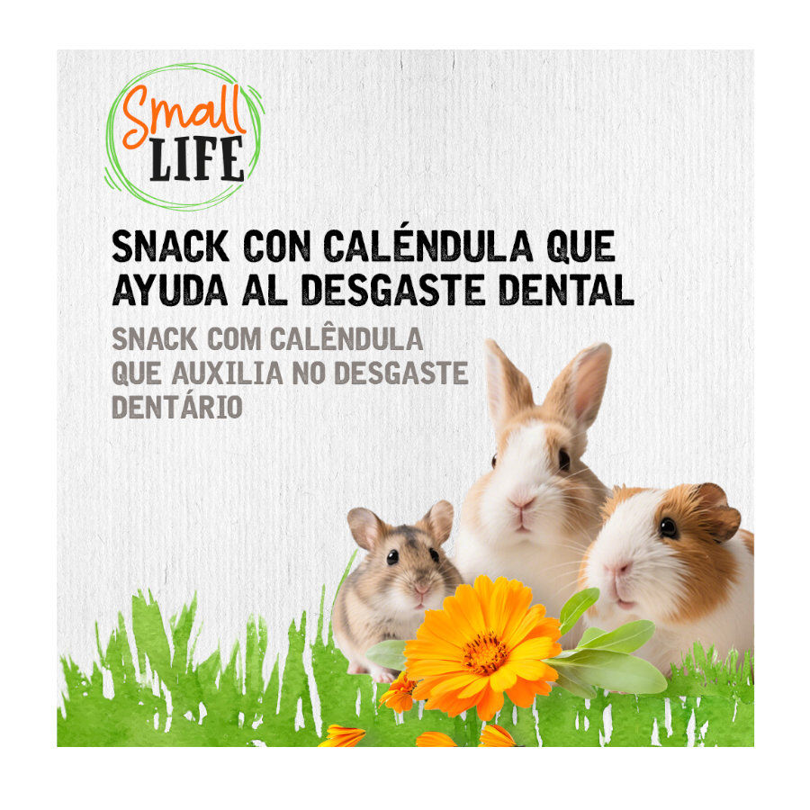 100 g Small Life Rolo de Feno com Cal&ecirc;ndula Snack para roedores e coelhos, , large Imagem n&uacute;mero 2